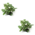 thumbnail image 3 of Decoraciones para Peceras sweethay Plantas de Agua de Plástico Decoración Subacuática CBP068685, 3 of 5