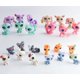 thumbnail image 5 of Mini figuras originales de animales pequeños, juguetes coleccionables de animales pequeños, oveja, pájaro, tienda de bebé, LPS, 5/10 piezas, 5 of 5