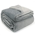 thumbnail image 3 of Regal Living Ultra Soft Plush Fleece Blanket, Double-Sided Cozy Warm Queen, Soft Silver, 92" x 90", 3 of 9