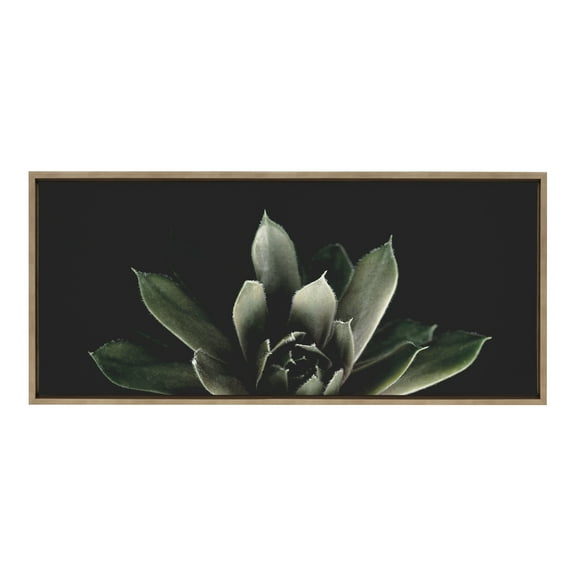 Kate and Laurel Sylvie Succulent 8 Framed Canvas Wall Art by Emiko and Mark Franzen of F2Images 18x40 Gold Decorative Botanical Art for Wall