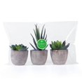 thumbnail image 2 of OUNONA 3 piezas de suculentas artificiales decorativas de imitación, plantas de simulación falsas con macetas, 2 of 2