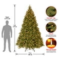 thumbnail image 5 of CC Christmas Decor 9’ Pre-Lit Downswept Douglas Fir Artificial Christmas Tree - Clear Lights, 5 of 6