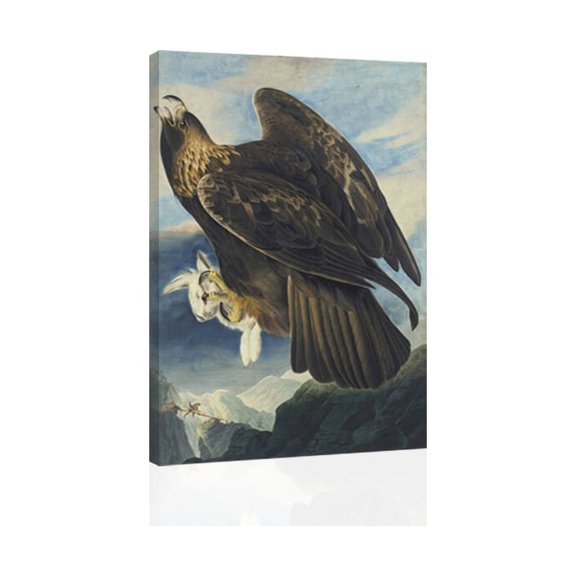 Audubon Golden Eagle - Canvas OR Print Wall Art