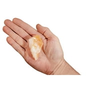Kidz Rocks Citrine 2 1/2" 2-4 oz Raw Chakra Healing Crystal Orange Rock Mineral Specimen