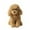 A, variant on Cute Curly Poodle Plush Toy Soft Fluffy Stuffed Puppy Dog Cuddly Teddy Dog Plush Pillow with Bell & Hair Clips for Kids Birthday Travel Companion Home Decor
