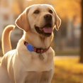 thumbnail image 5 of Pet Collar Case Silicone For Tile Mate Protective Dog Cat Cover, 5 of 10