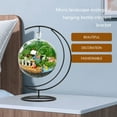 thumbnail image 5 of MRLESS Terrarium Ornament Display Stand Hook Iron Frame Metal Holder Hanging, 5 of 7