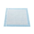 thumbnail image 3 of McKesson Classic Underpads, Light Incontinence Absorbency - 23 in x 24 in, 25 Ct, 3 of 7