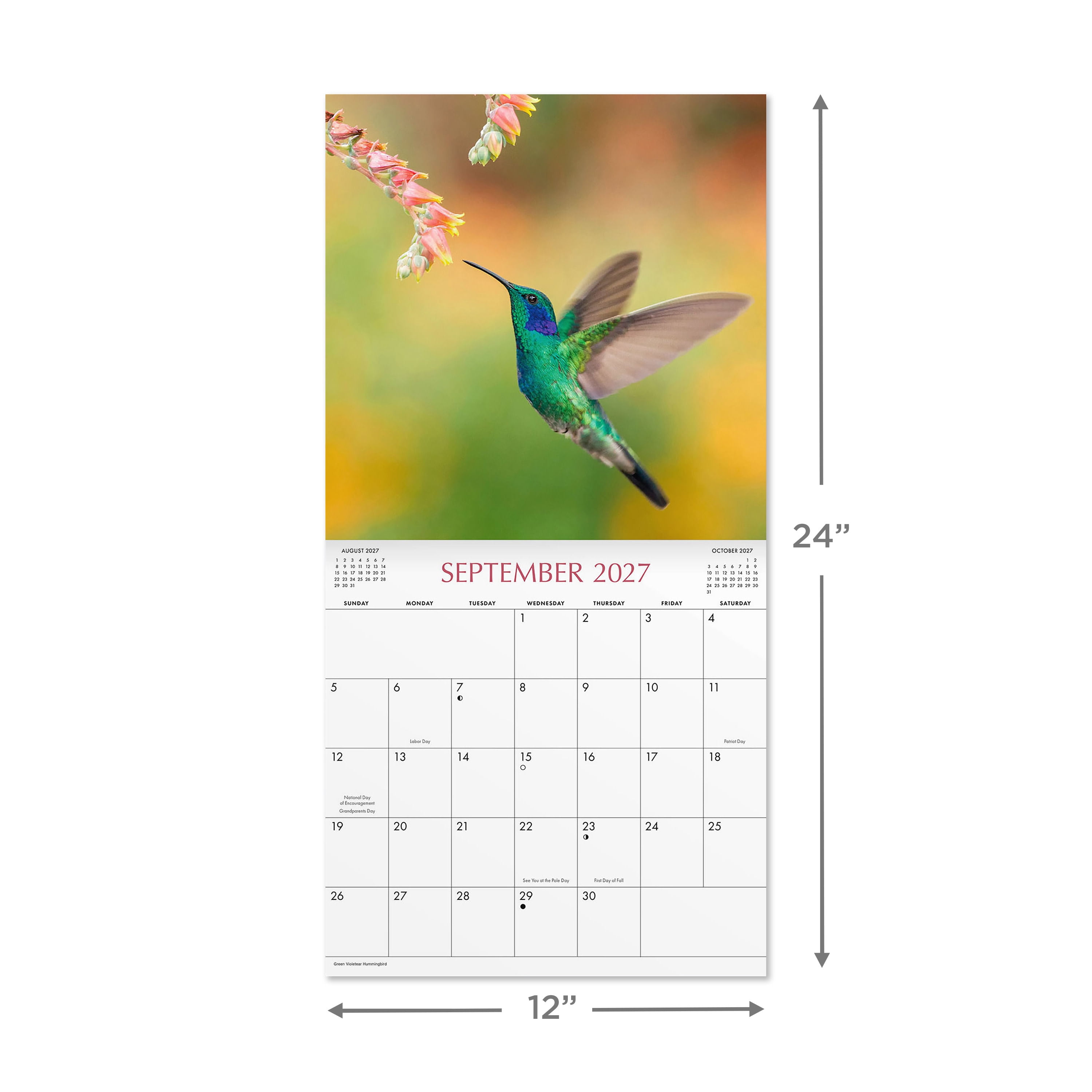 2027 Hummingbirds Hanging Wall Calendar 12x12 January-December Gridded