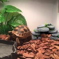 thumbnail image 4 of LLDYYDS Reptile Hides and Caves Rock Reptile Hideout Terrarium Habitat DÃ©cor for Bearded Dragon Lizards Ball Python Snakes One Size, 4 of 5