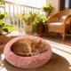 thumbnail image 4 of Cama redonda y cálida de 70 cm para gatos y perros, cómoda y acogedora para el invierno, 4 of 5