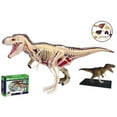 TRex Dinosaur Anatomy Model