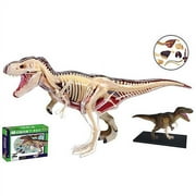 T-Rex Dinosaur Anatomy Model