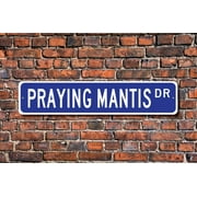 Praying Mantis Praying Mantis Gift Praying Mantis Sign Praying Mantis decor Praying Mantis lover Metal Sign SIZE: 4 x 16 Inches