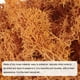 thumbnail image 4 of Uxcell 3.5 OZ Musgo Falso Musgo Artificial Musgo Natural Conservado para Proyectos de Artes Florales DIY (Naranja), 4 of 7