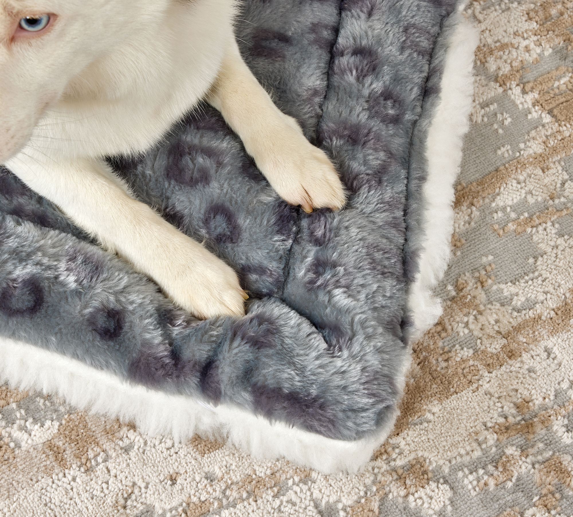 MidWest Homes for Pets Reversible Spotted Pet Bed photo 8