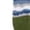Multicolor-A 12 Pairs, variant on 12 Pairs Mens No Show Socks Low Cut with Non Slip Grip Casual Sock for Men