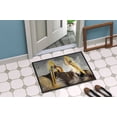 thumbnail image 4 of Carolines Treasures JMK1025MAT Pelicans Preening Indoor & Outdoor Mat- 18 x 27 in., 4 of 4