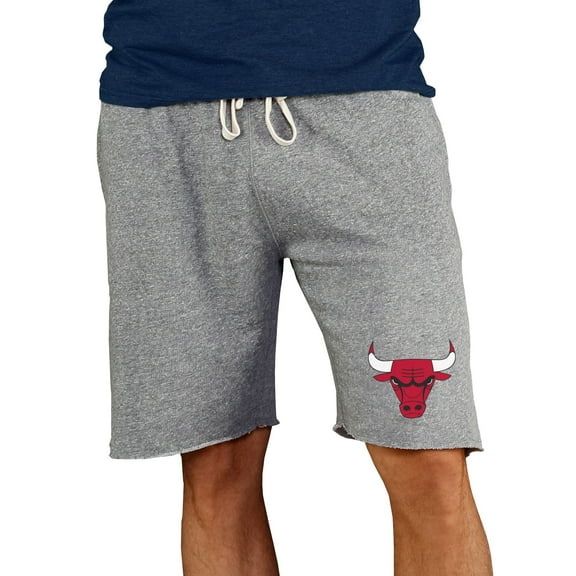 Men's Concepts Sport Gray Chicago Bulls Mainstream Terry Shorts