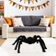 thumbnail image 4 of Adorno de araña de peluche con forma de calavera de Halloween, gran araña, 4 of 5