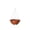 CC, variant on DefiDgd Hanging Basket Plant Pots for Indoor Outdoor Plants,Hanging Flower Pots with Drainage Holes and Chain for Home Garden Decor(Beige)