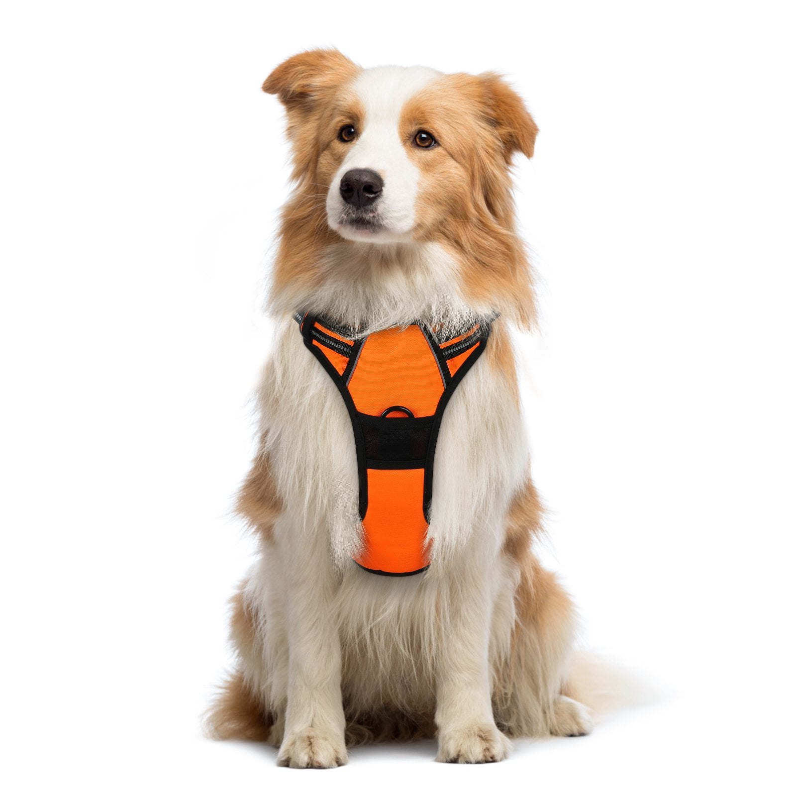 OxGord Pet Control Harness for Dog & Cat Easy Soft Walking Collar Pink Medium 