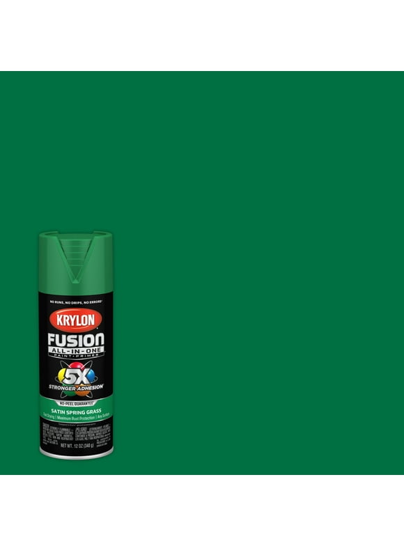Krylon Spray Paint in Paint