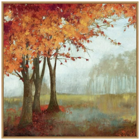 Amanti Art A Sense of Space II Framed Canvas Wall Art Print