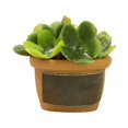 thumbnail image 1 of Casa de muñecas Sunnimix Resina Mini Bonsai Suministros de Paisaje Estilo D, 1 of 7