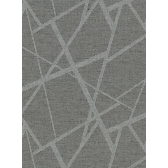 Warner Avatar Pewter Abstract Geometric Wallpaper