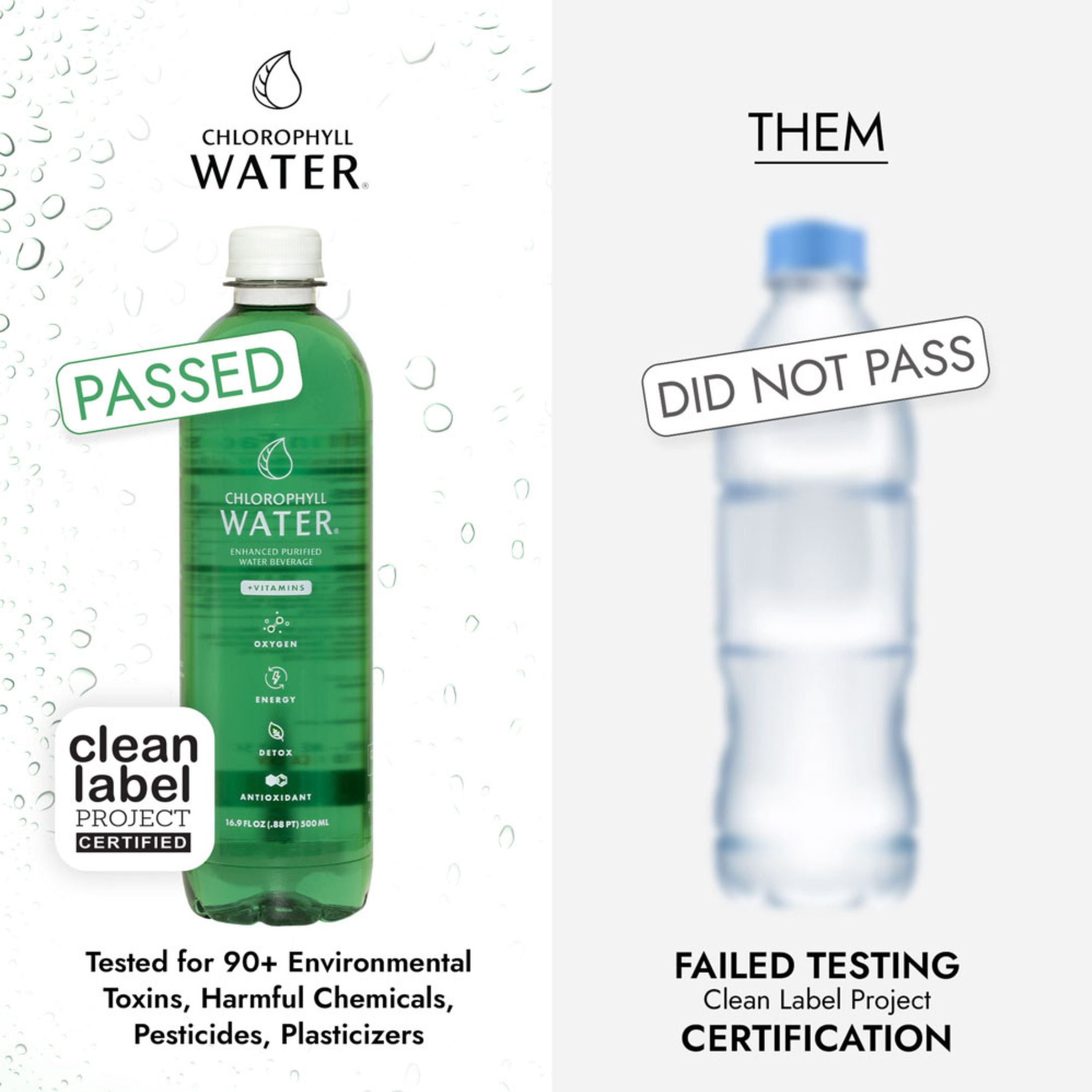 (12 pack) Chlorophyll Water in Purified Water Bottle, Plant-Based Vitamin Water, 16.9 fl oz Single Bottle