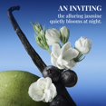thumbnail image 4 of Perfume States Smell Rio 06# Midnight Jasmine Eau de Parfum, 100 ml, 4 of 8