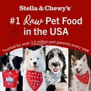 Stella & Chewy's Freeze-Dried Raw Dinner Patties for Dogs - Duck Duck Goose Recipe - 25 Ounce Bag