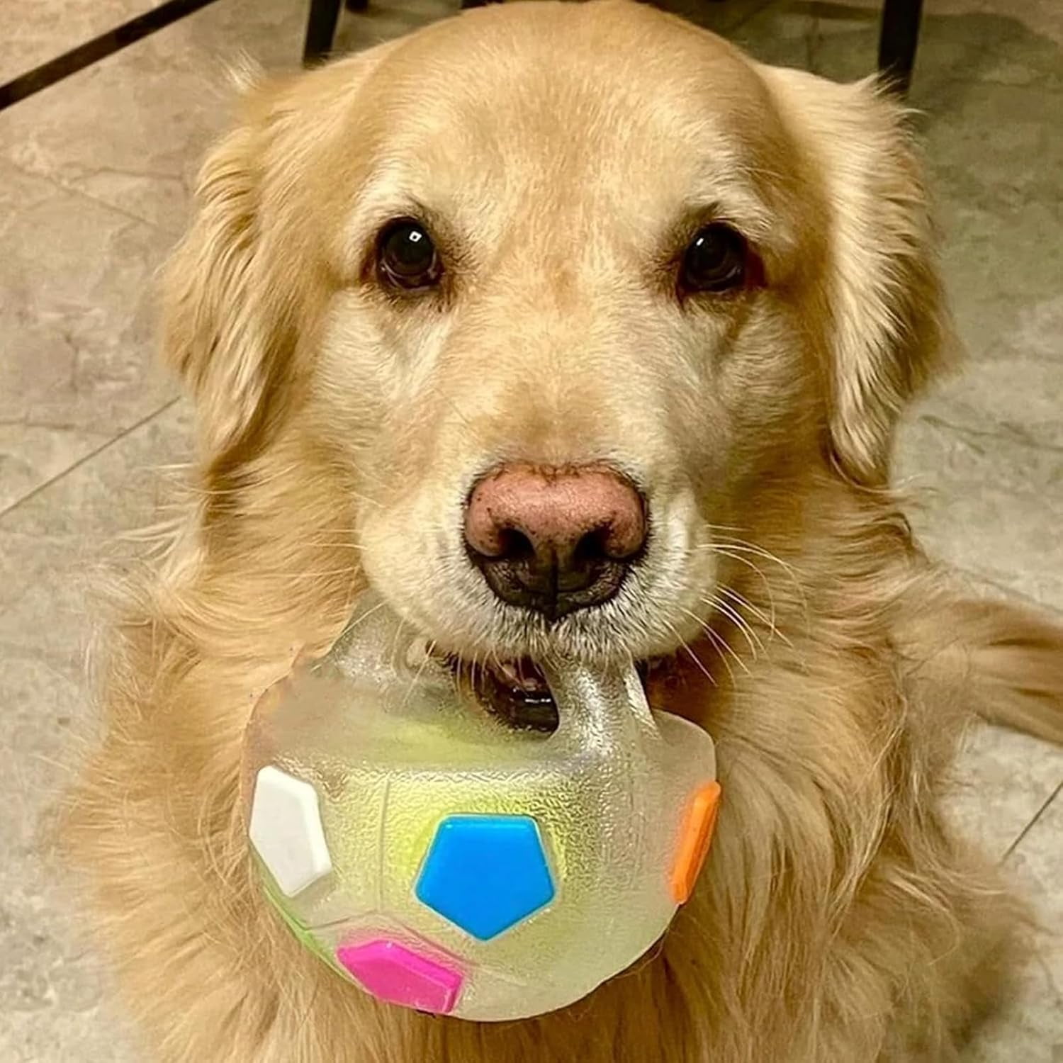 The Dog Calming Ball, 2026 New Interactive Dog Toys with Squeaker, Chewable Ball with Handle, for Small Medium Large Dogs Playing