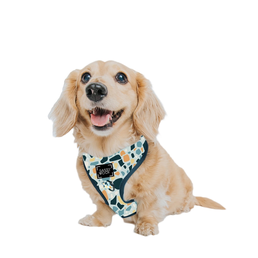 Sassy Woof Extra Small Adjustable Dual-Clip Dog Harness, Blue Terrazzo