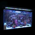 thumbnail image 3 of Freshwater LED Aquarium Light, Full Spectrum Fish Tank Light with Timer - Adjustable Color Spectrum, 3 of 6