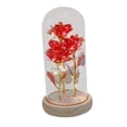 thumbnail image 4 of Flor preservada en cúpula de cristal para mamá Rosa romántica de amor para momento especial Rojo, 4 of 9