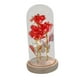 thumbnail image 4 of Rosa romántica de amor con flor preservada en cúpula de cristal para mamá, regalo de San Valentín Rojo, 4 of 9