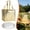 Gold, variant on Insulated Cake Bag, Non Woven Zipper Cooler with Aluminum Foil Thermal Lining, 35 x 35 x 40 cm Portable Carrier for Cake Pizza Catering Outdoor Picnic and Food Transport Use
