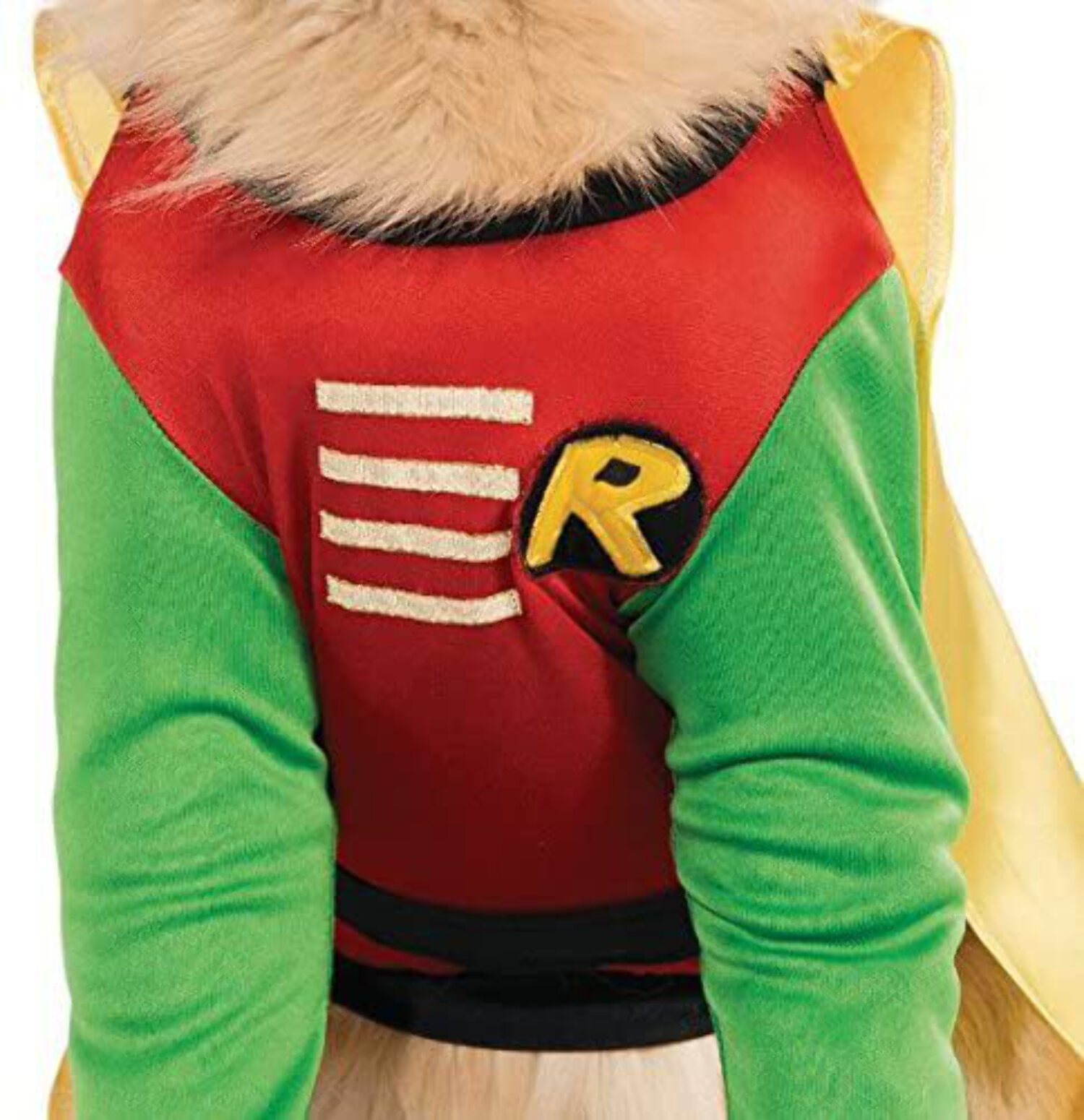 Pet Costume Robin Small - image 2 of 6