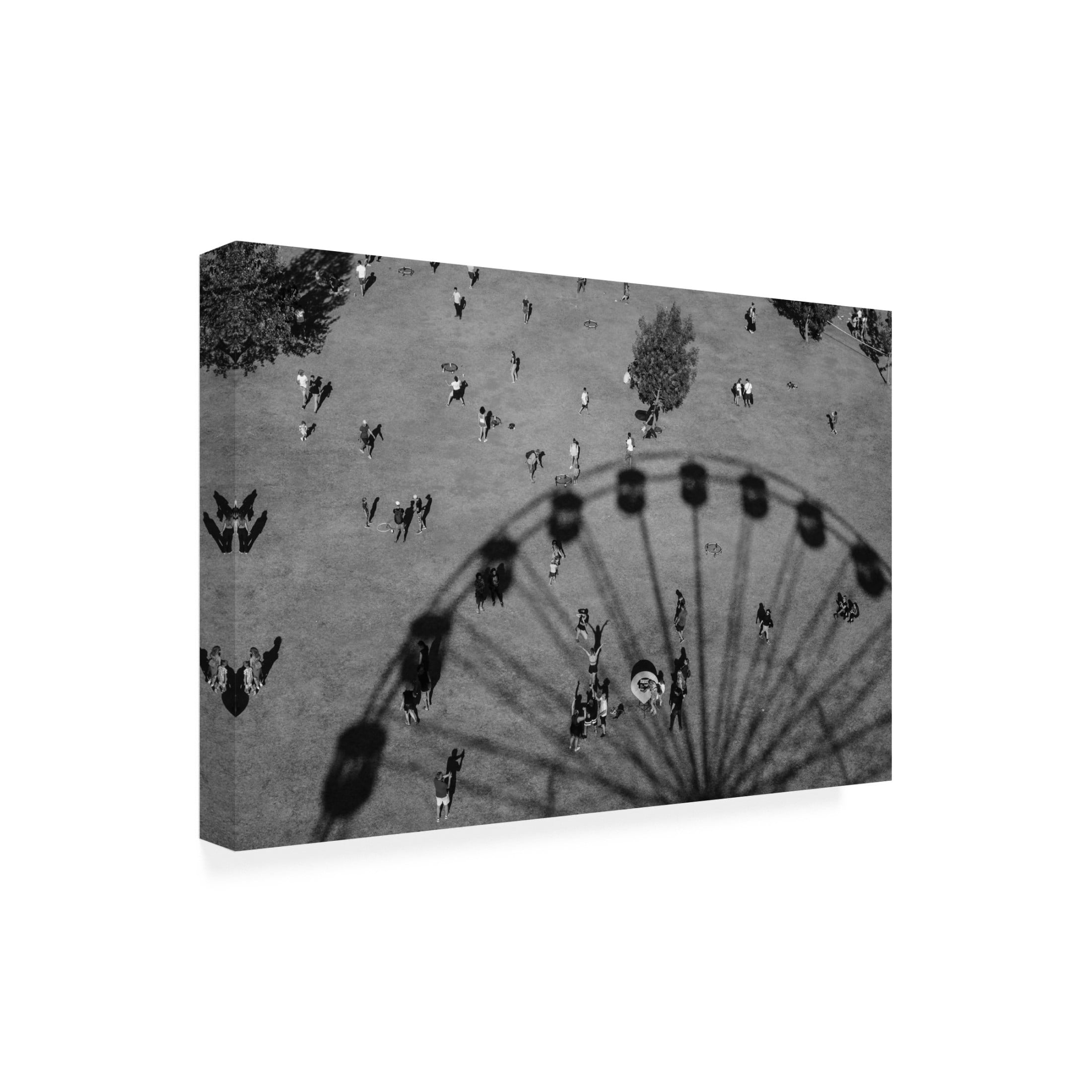 Trademark Fine Art Andra Stoica Ants Canvas Wall Art