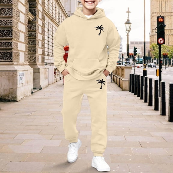 Boys Summer Outfits 2 Piece Long Sleeve Crew Neck Graphic Print Top And Jogger Pants for Daily Baby Boys' Clothing Sets Beige 2 Years-3 Years