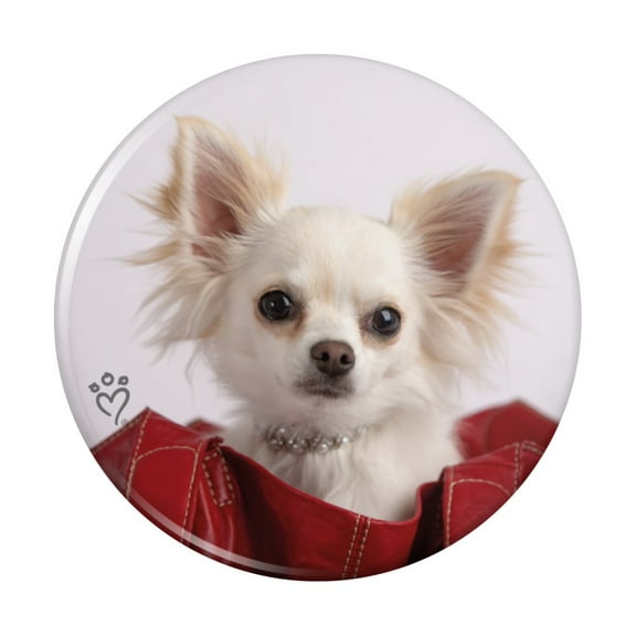 Chihuahua Puppy Dog in Handbag Kitchen Refrigerator Locker Button Magnet