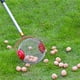 thumbnail image 5 of Injueey Nut Gatherer Retractable Fruit Collector Wide Operation Simple Stainless Picker Application Chestnut Steel Harvester Jardín y Patio Bolita Injueey HA043843-01, 5 of 6