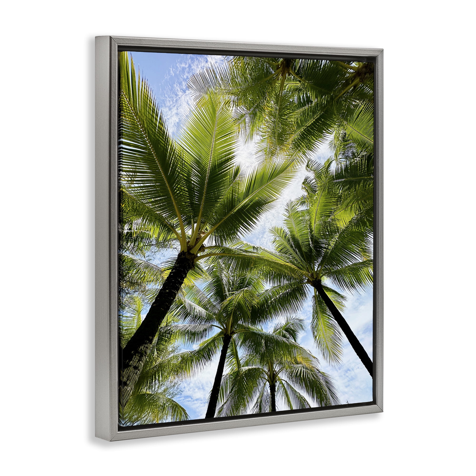 Stupell Industries Overhead Palm Trees Plants & Flowers Photography Gray Floater Framed Canvas Art Print Wall Art, 17 x 21