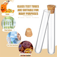 100PCS Glass Test Tubes with Cork Clear Stoppers Round Bottom Lab Test