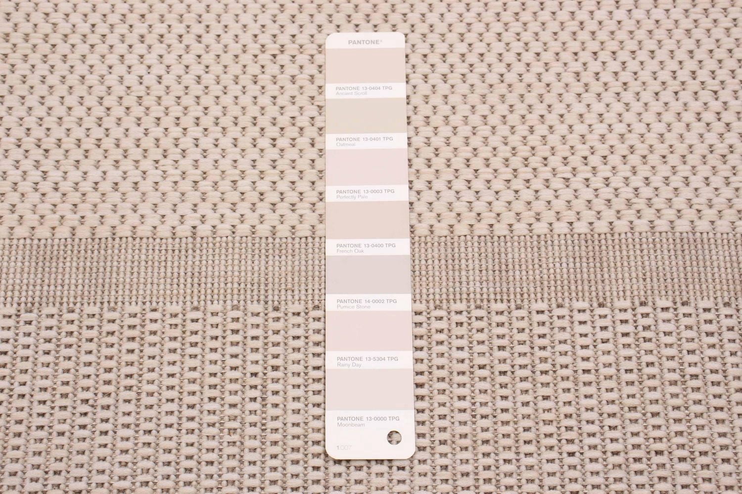 ECARPET Modern Area Rug for Living Room, Dining Room and Bedroom<br>Jute Natura <br>Collection