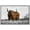 WHITE, variant on wall26 Framed Canvas Print Wall Art Duotone Brown Buffalo Bison Mountain Valley Nature Animals Photography Realism Rustic Scenic Landscape Colorful for Living Room, Bedroom, Office - 24"x36&quot
