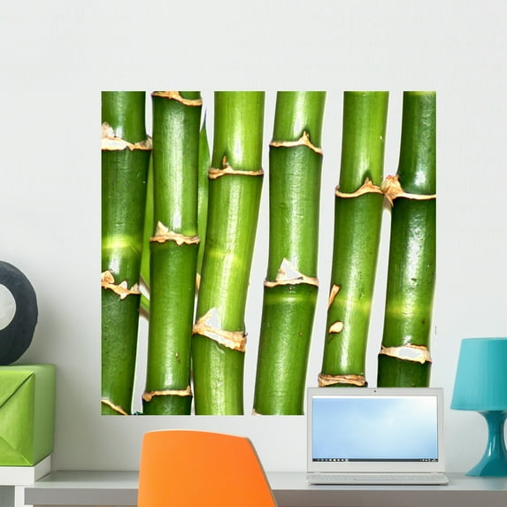 Bamboo Wall Mural by Wallmonkeys Peel and Stick Graphic (24 in W x 23 in H) WM157314