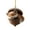 C, variant on 1 Pc 2D Flat Acrylic Woodland Squirrel Christmas Ornament, 3.14" Sleeping Animal in Acorn Shell Tree Hanging Decoration, Shatterproof Holiday Decor